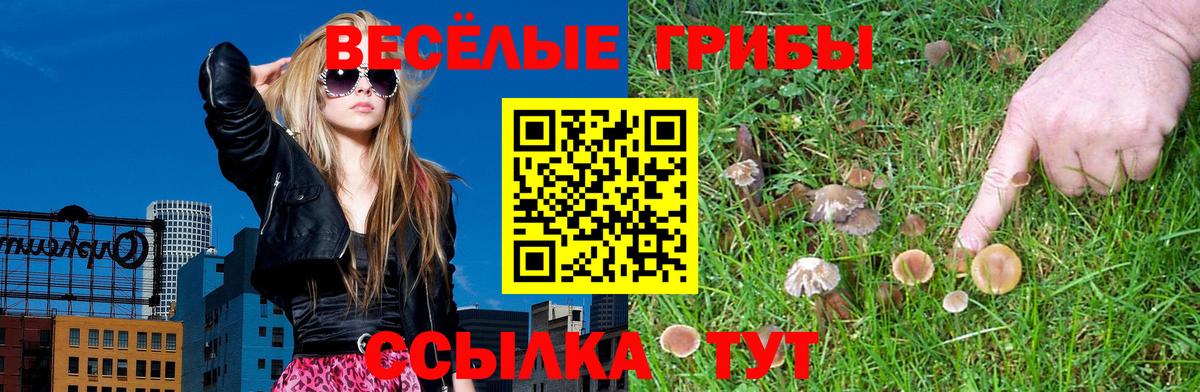 Старая Купавна  Галлюциногенные грибы прущие грибы  Вход с VPN 